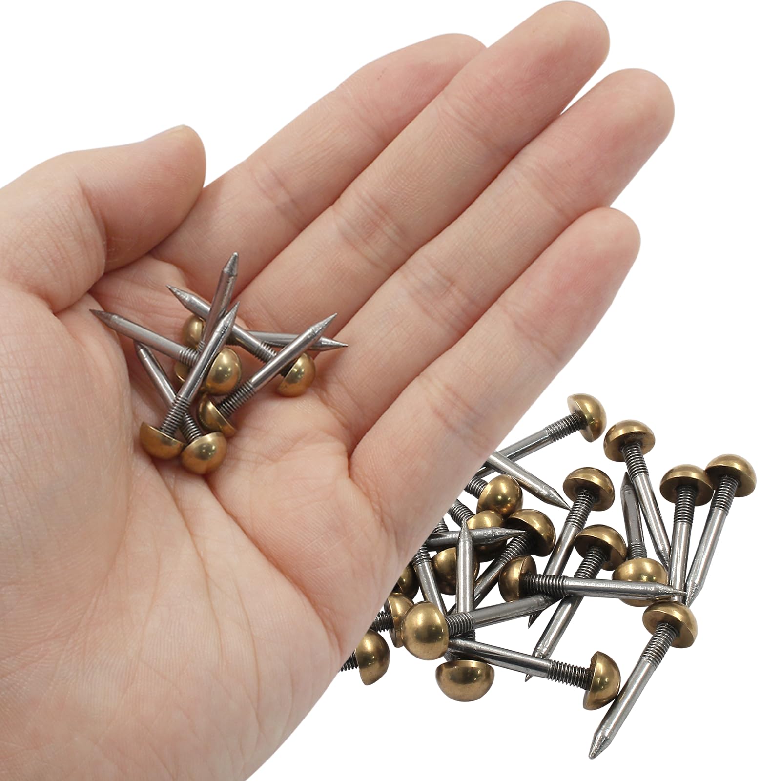 Amazon.com: Hordion 32Pcs Upholstery Tacks Brass Tacks 5/16